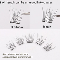 Lazy Fish Tail False Eyelashes Trilogy Natural Simulation Thick Single Cluster Lazy Series Deviruchi Eyelashes