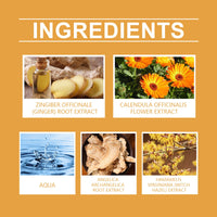 Ginger Joint Pain Care Cream Relieves Aching Muscles And Bones And Body Joint Discomfort Massage Cream