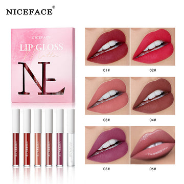 Niceface New Matte Non-Stick Cup Lip Glaze Set With Lip Plumper Texture Lip Gloss