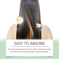 Hair Spray, Repair Dry Hair, Moisture, Maintain Thick Hair, Smooth And Glossy Hair Treatment Spray