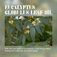 Eucalyptus Essential Oil, Body Care Massage Push Back Spa Essential Oils Moisturize And Firm Skin