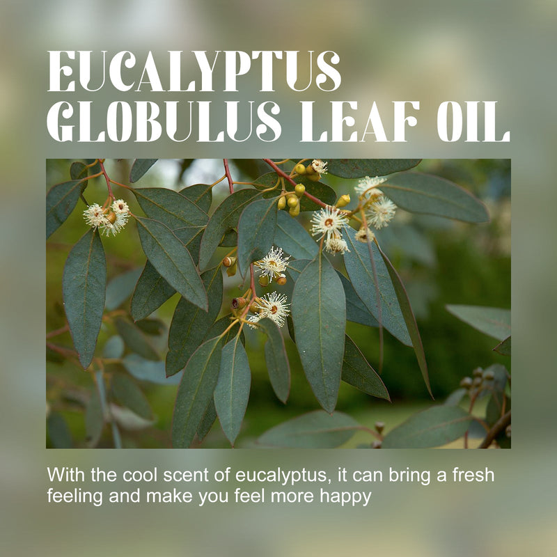 Eucalyptus Essential Oil, Body Care Massage Push Back Spa Essential Oils Moisturize And Firm Skin