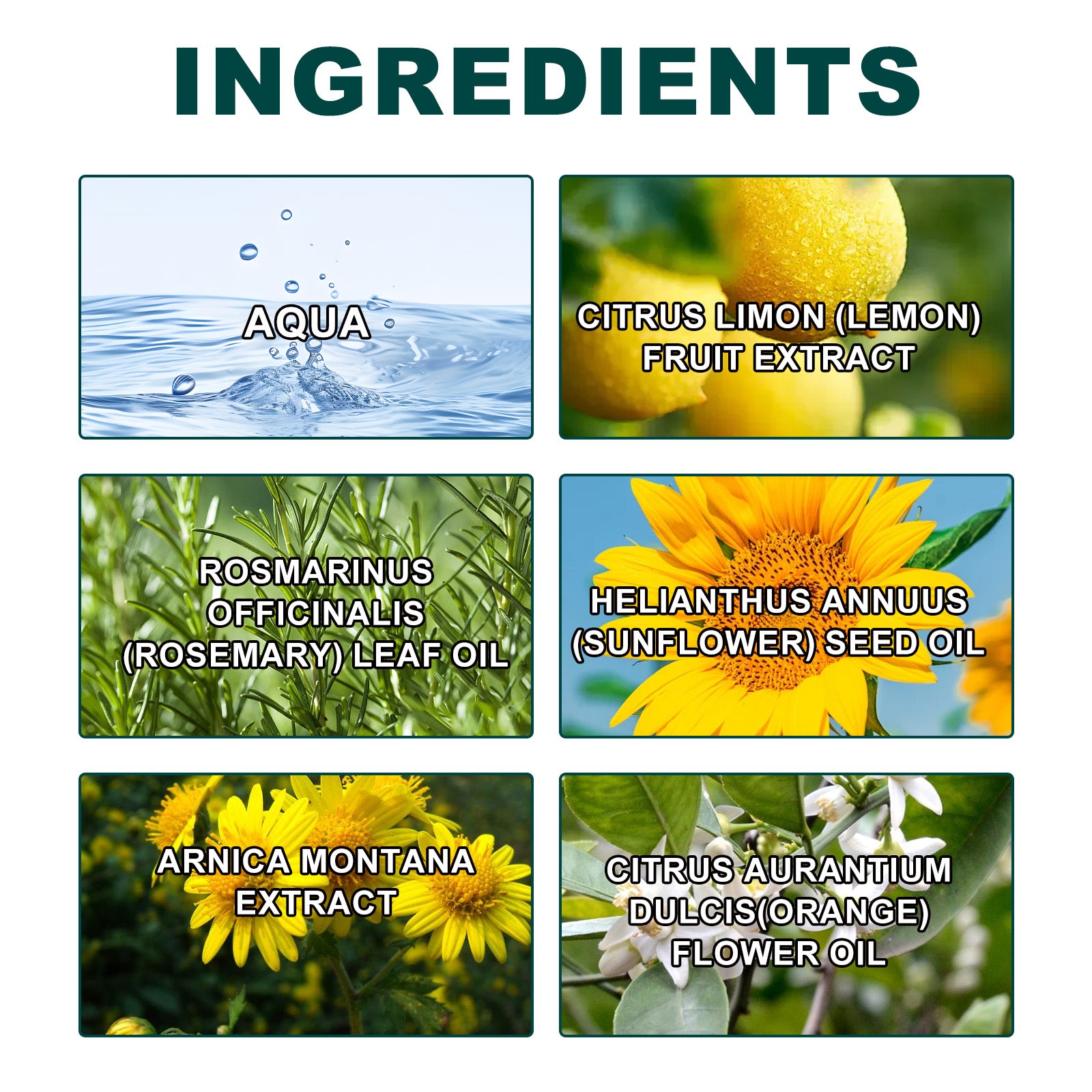 Bath Oil Gently Cleanses The Body, Exfoliates And Moisturizes Tender, Smooth And Firming Skin
