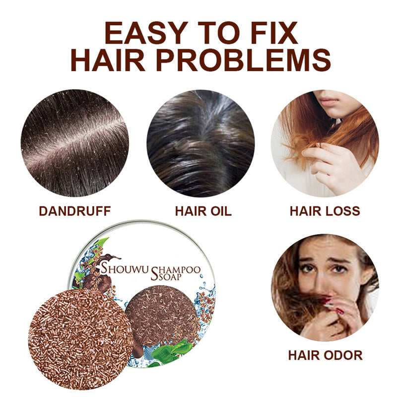 EELHOE Polygonum Multiflorum Shampoo Cake, Nourishing Root Essential Oil Shampoo Black Soothing Vegetable Shampoo
