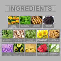 Herbal Care Cream Gentle Skin Herbal Moisturizing Moisturizing Cream