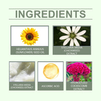 WoodSleep Herbal Body Care Cream, Gentle Moisturizing Improve Skin Hydrating Massage Cream