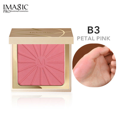 #B3 PETAL PINK