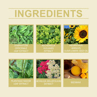 Wiyun Herbal Cream, Gentle Herbal Ingredients To Nourish The Body For External Massage Herbal Cream