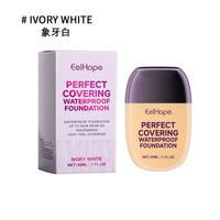 Concealer Liquid Foundation, Brightening Non-Stick Powder Refreshing Moisturizing Lightweight Moisturizing Liquid Foundation