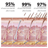 Amino Acid Shampoo, Deeply Clean The Scalp Repair Hair Follicle Damage Strengthen Hair Off The Hair
