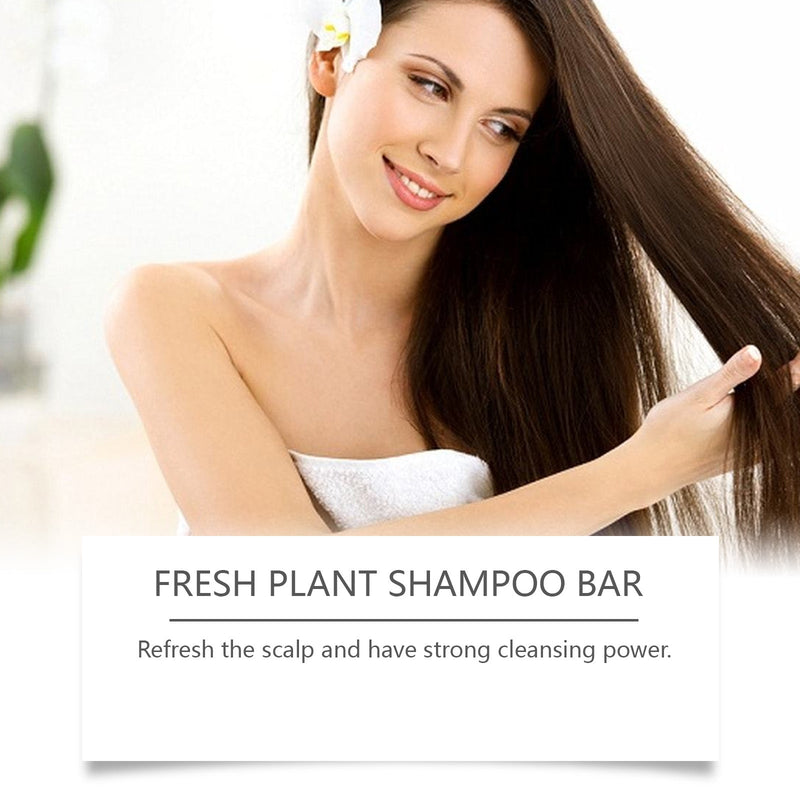 Rosemary Shampoo Soap Daily Nourishes And Softens Hair Gently Cleanses Scalp Shampoo And Conditioner Soap