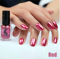 14 Color 6ML Women Fashion Sexy New Metallics Nail Polish Mirror Nail Polish Beauty Makeup Accessories