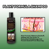 Tinea Capitis Anti-Itch Shampoo Anti-Drop Refreshing Oil Control Hair Care Anti-Dandruff Anti-Itch Shampoo