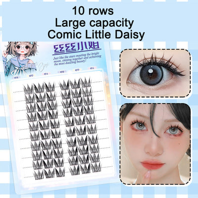 Little daisy