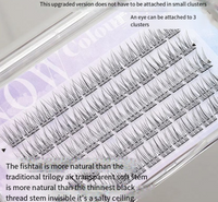 Lazy Fish Tail False Eyelashes Trilogy Natural Simulation Thick Single Cluster Lazy Series Deviruchi Eyelashes