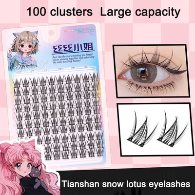 Tianshan Snow Lotus