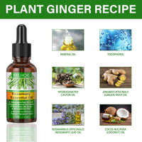 Rosemary Hair Essential Oil Gentle Scalp Care Soft Shine Natural Fluffy Hair Essential Oil