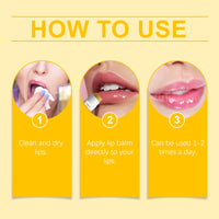 Lemon and Ginger Lip Balm Moisturize and Moisturize with Lemon and Prevent dry and cracking Nourishing Lip Balm