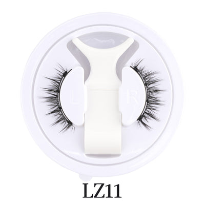 LZ11