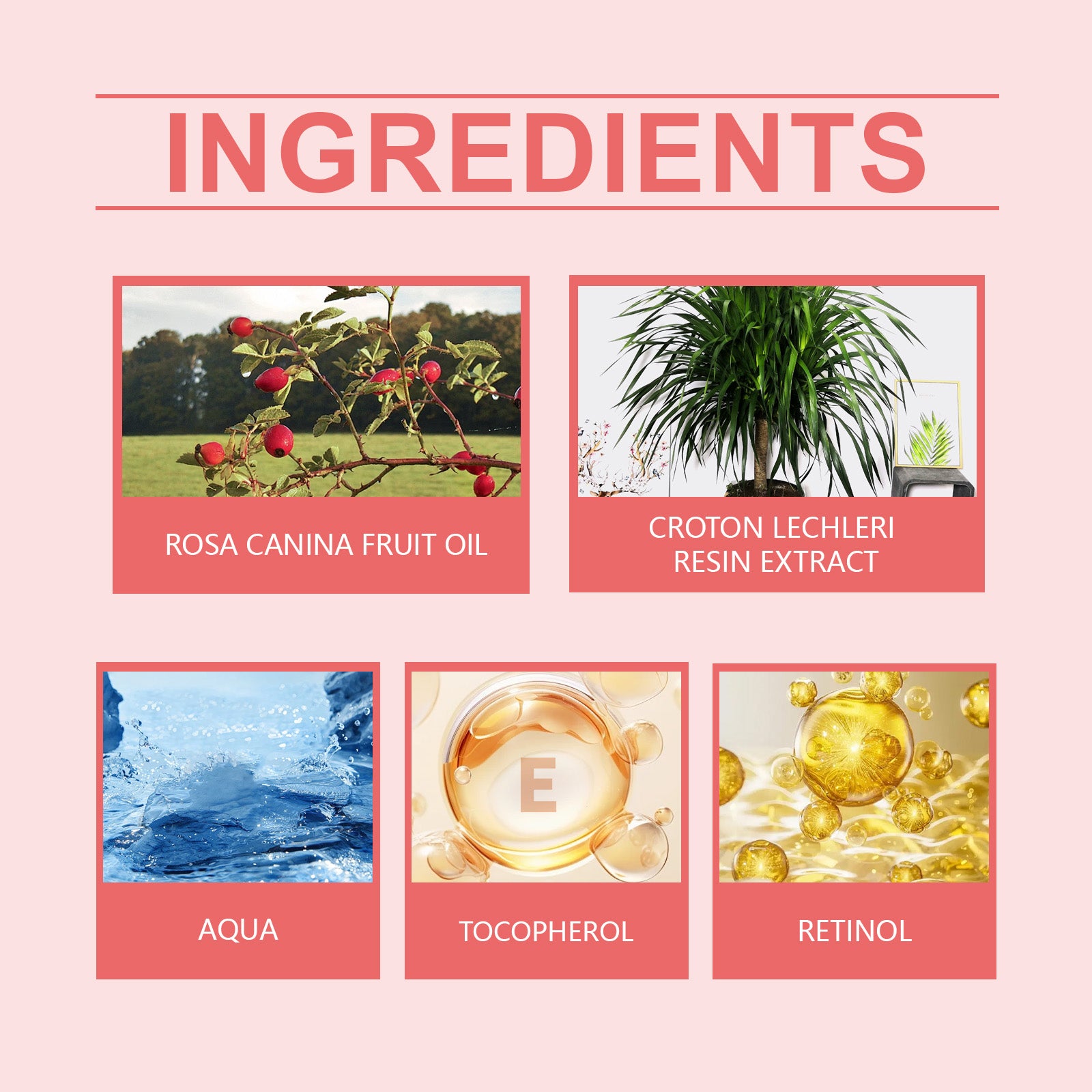 Rose Hip Anti-Wrinkle Cream Moisturizing, Brightening, Reducing Fine Lines, Firming, Smoothing And Nourishing Facial Skin Cream