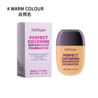 Concealer Liquid Foundation, Brightening Non-Stick Powder Refreshing Moisturizing Lightweight Moisturizing Liquid Foundation