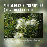 OCEAURA Tea Tree Essential Oil, Body Moisturizing Soft And Smooth Skin Refreshing And Relaxing Muscle Massage Treatment