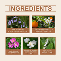Bellflower Perfume For Women Mild Lasting Fragrance Bellflower Fragrance Fresh And Elegant Charm Dating Perfume