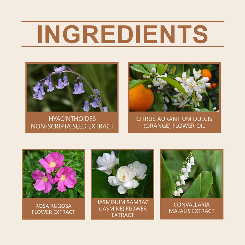 Bellflower Perfume For Women Mild Lasting Fragrance Bellflower Fragrance Fresh And Elegant Charm Dating Perfume