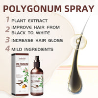 Polygonum Spray, Moisturizing Hair Smooth Shine Thick Solid Hair Black Hair Conditioning Spray