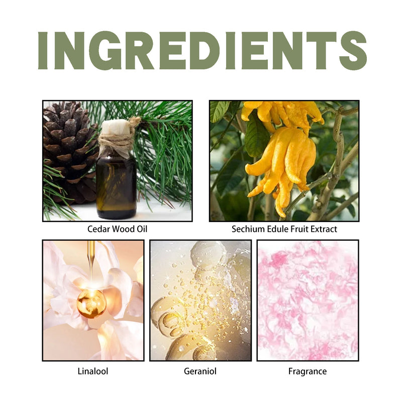EELHOE Bergamot Cedarwood Scent Experience Perfume, Fresh Wood Scent Lasting Fragrance Naturally Not Pungent Niche Perfume