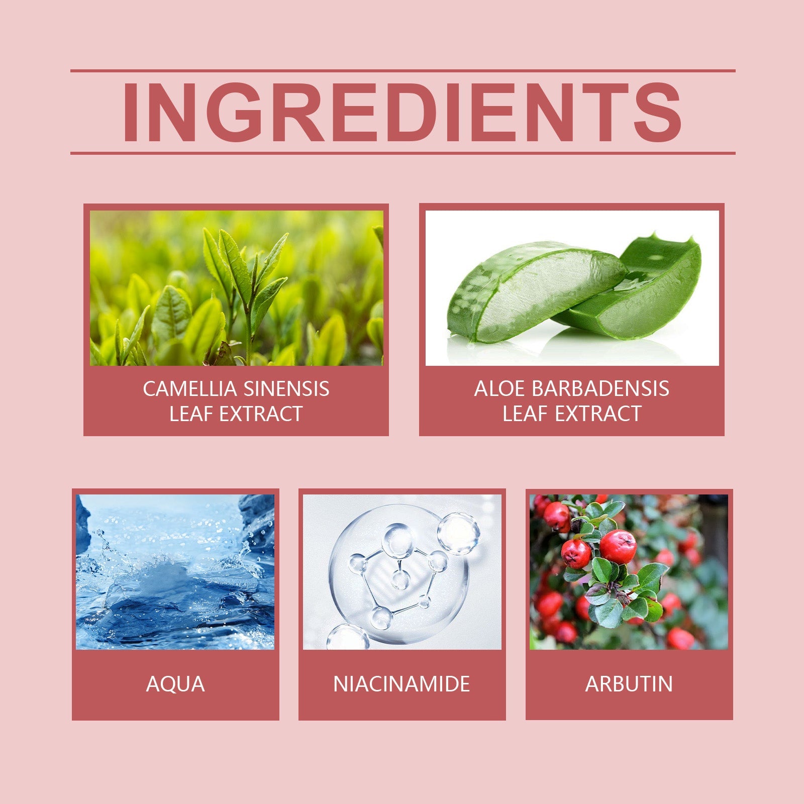 Freckle Whitening Brightening Serum, Brightening And Firming Skin Plant Extract