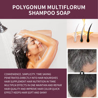 South Moon Korea Polygonum Darkening Shampoo, Brightening Restores Natural Hair Color Black Hair Strong Nourishing Hair Root Care