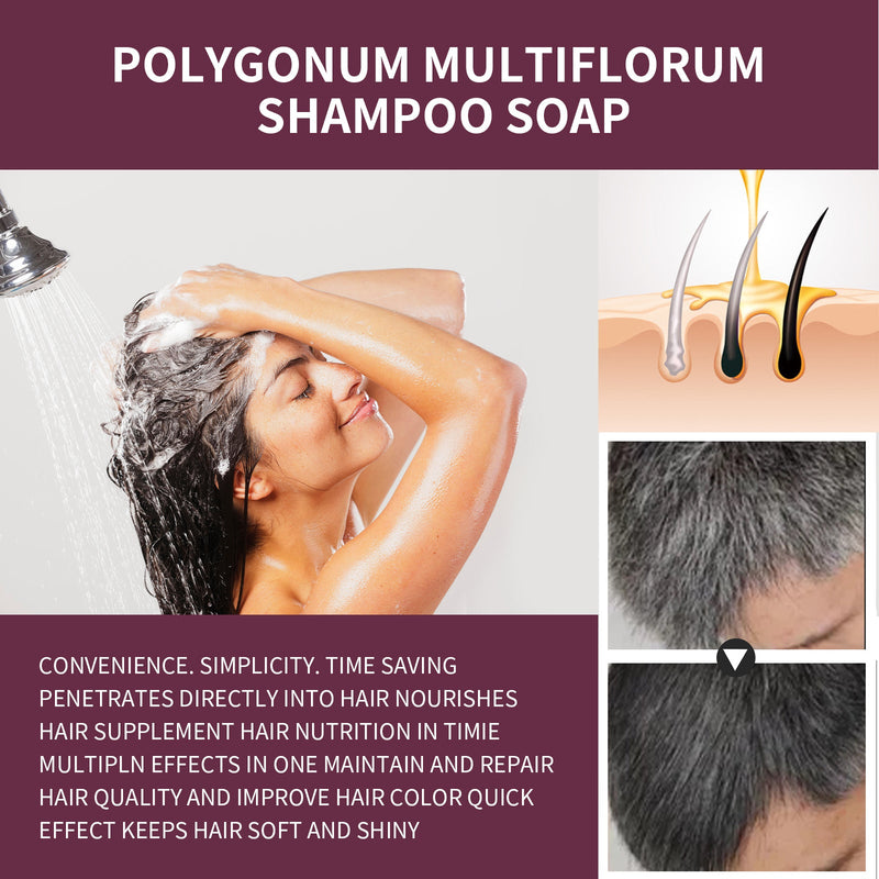 South Moon Korea Polygonum Darkening Shampoo, Brightening Restores Natural Hair Color Black Hair Strong Nourishing Hair Root Care