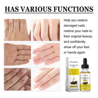 Jojoba Oil, Smooth Treatment Repair Frizz And Moisturize Skin Essence