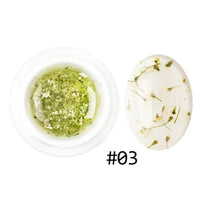 Dried Flowers Gel Nail Polish Soak Off UV LED Transparent Gel Nail Polish Decoration Manicure Nail Art Toolfafa